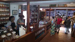 american_house_coffee_franchise