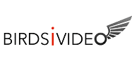 Birdsi Video Franchise