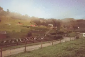 Screen Shot 2019 08 13 at 10.32.23 AM