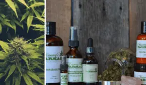 Screen Shot 2019 08 13 at 10.32.29 AM