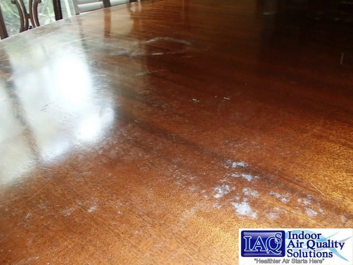 10856759 856801821025854 4677978674771961193 o scaled