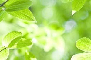 Environmental Cleaning Services 2