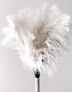 Dusting5jpg