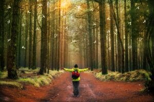 Concept,Of,Freedom,And,Exploring,The,World, ,No,Deforestation