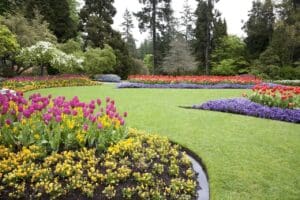 Beautiful garden during the Spring.