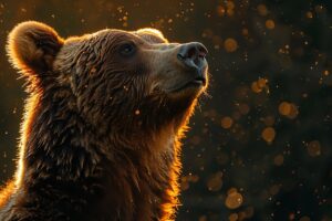 photorealisticviewwildbearitsnaturalenvironment