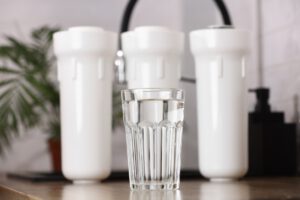 Perfect Filter franchise glass of clean drinkable water and set of filter c 2024 10 18 08 24 14 utc