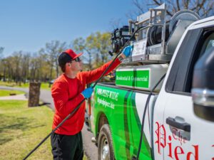 681bb832da13d7addc3690a8 residential lawn fertilization