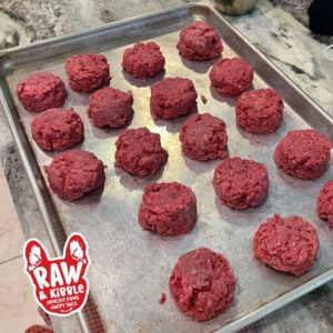 Raw and Kibble 468503120 1526606364705905 7734072298155100305 n