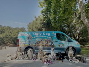 Ugly Dog Adventures dogs in front of van